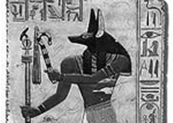 Anubis